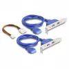 DeLOCK 61066 Interner USB 3.2 Gen 1 Adapter M.2 Stecker Schwarz