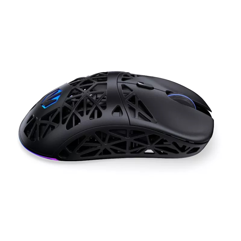 Maus ENDORFY EY6A016 Bluetooth