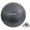 Schildkröt Fitness 960158 Gymnastikball 85 cm grau