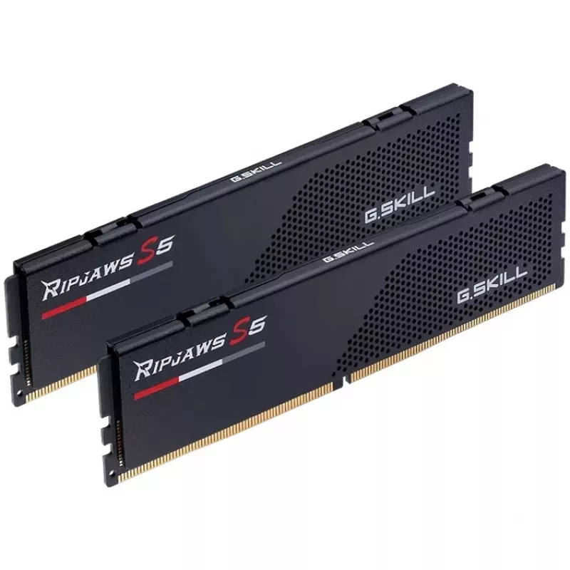 G.Skill F5-6000J3036F24GX2-RS5K Speichermodul 48 GB 2 x 24 GB DDR5 5600 MT/s