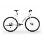 Sharp Gravel E-Bike 250W Motor App 70km Weiß glanz