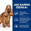 HILL's Prescription Diet Food Sensitivites z/d - Trockenhundefutter - 10 kg