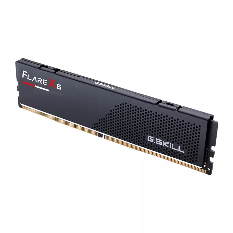 DIMM 16 GB DDR5-6000, Arbeitsspeicher schwarz, F5-6000J3038F16GH1-FX5, Flare X5