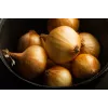 Wolska Onion Toraf Gemüsesamen, 5g Packung