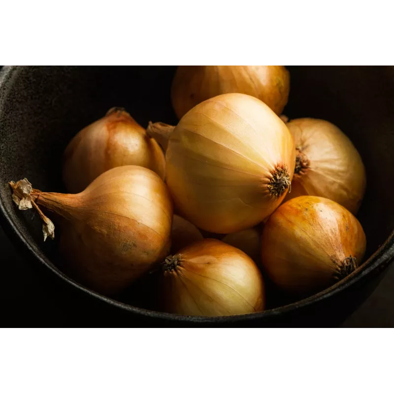 Wolska Onion Toraf Gemüsesamen, 5g Packung