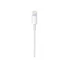 Apple USB-C auf Lightning Kabel (1 m)