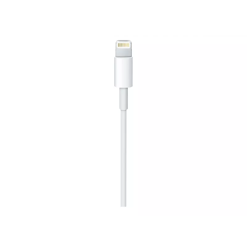 Apple USB-C auf Lightning Kabel (1 m)