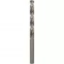 Bosch 2608595066 Bohrer