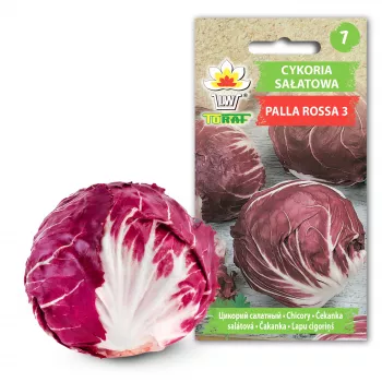 Lettuce Chicory Palla Rossa 3 Toraf Gemüsesamen, 5g-Packung