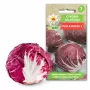 Lettuce Chicory Palla Rossa 3 Toraf Gemüsesamen, 5g-Packung