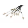 Breakout-Kabel Digitus DK-2433CU030BK-BBB 30m OM4 12 Fasern LC/UPC