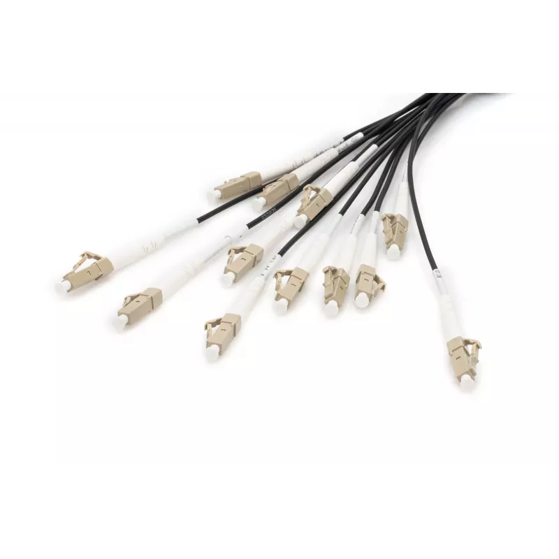 Breakout-Kabel Digitus DK-2433CU030BK-BBB 30m OM4 12 Fasern LC/UPC