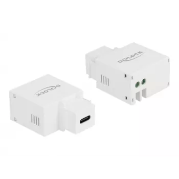 Keystone-Modul USB-Typ-C-Ladeanschluss DeLOCK 87792