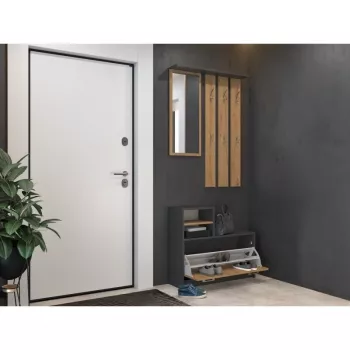 Garderobenschrank top e shop GAR ANT/ART mit 1 Drehtür, 850×240×1600 mm