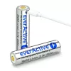 Batterie everActive 18650 3.7V Li-ion 2600mAh micro USB with protection BOX