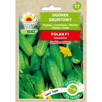 Polan F1 Gurke PNOS Samen auf Band, 6m Band