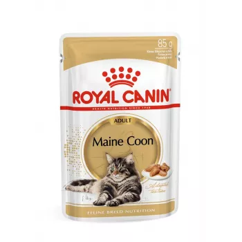 ROYAL CANIN FBN Maine Coon - Katzen-Nassfutter - Sachet 12x 85g