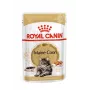 ROYAL CANIN FBN Maine Coon - Katzen-Nassfutter - Sachet 12x 85g