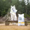 RAW PALEO Ultra Medium&Large Adult Turkey - Trockenfutter für Hunde - 10 kg