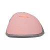 Maus Baracuda BGM-084 Lobster Pink USB