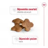 Trockenfutter für Hunde Royal Canin Mini Adult 8+ 2 kg — kleine Rassen 5–10 kg, Geflügel, gewichtskontrollierende Formel