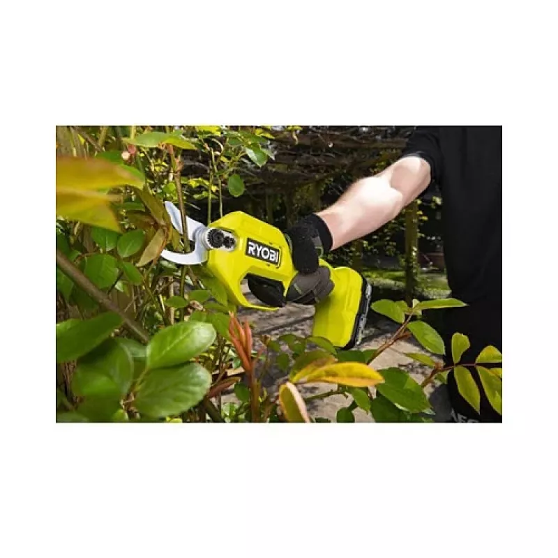 Ryobi Astschere