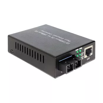 Netzwerk-Medienkonverter DeLOCK 86216