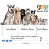 LED-Halsband KABB Blau für Hunde und Katzen – wiederaufladbar, verstellbares Sicherheitshalsband mit Beleuchtung