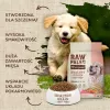 Trockenfutter für Hunde VETEXPERT Raw Paleo Healthy Grain Puppy Lachs und Gerste 10 kg, Protein 29 % Fett 17 % Feuchtigkeit 9 %