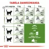 Royal Canin Outdoor Trockenfutter für Katzen 2 kg