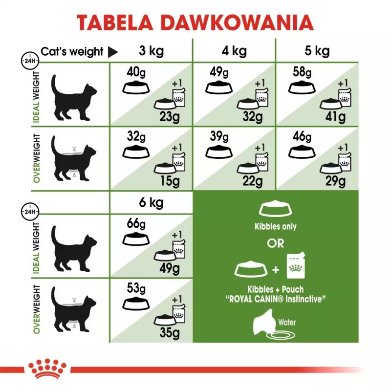 Royal Canin Outdoor Trockenfutter für Katzen 2 kg