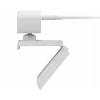Lenovo GXC1D66063 Webcam 2,8 MP 1920 x 1080 Pixel USB-C Grau