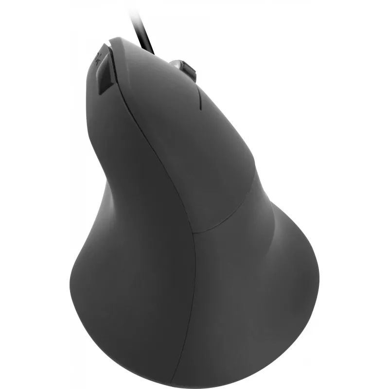 Maus SPEEDLINK PIAVO Office USB Typ-A Optisch 2400 DPI