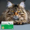 Weichgelkapseln mit Drehverschluss JM Sante Multiway Vet Fell und Haut für Hunde und Katzen 60 Stück, 150 g