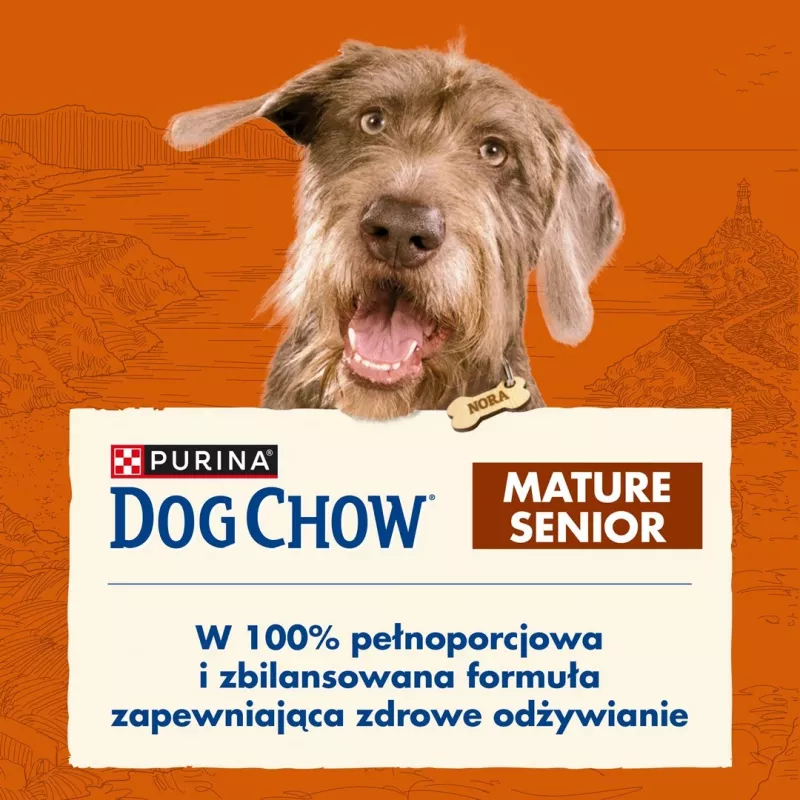 Trockenfutter Purina Nestlé Dog Chow Mature Senior mit Lamm 14 kg, 24% Protein, 10% Fett