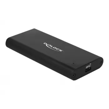 Delock - Speichergehäuse - M.2 - M.2 NVMe-Karte - USB 3.1 (Gen 2) - Schwarz (42614)