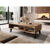 Cama Couchtisch NORD 110cm Wotan-Eiche/Anthrazit
