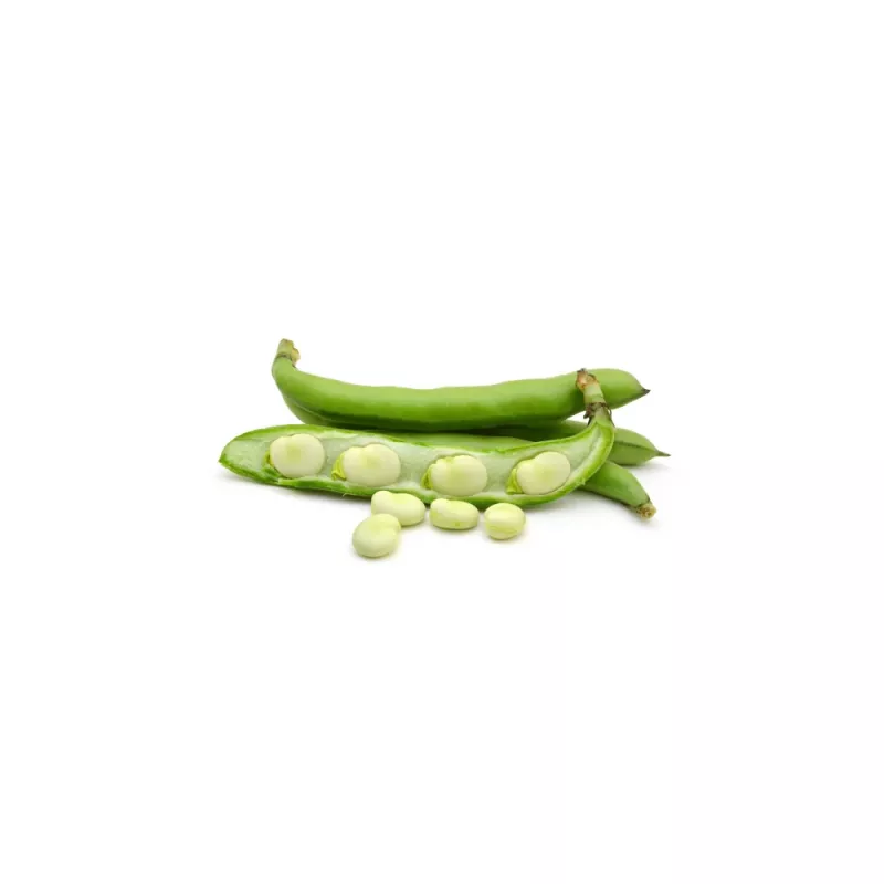 Samenpackung Apte PNOS — Ackerbohne (Favabohne) Jankiel Biały, 50 g