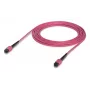 Glasfaserkabel MPO Ubiquiti UACC-OFC-MA-MPMP-5M 5m OM4