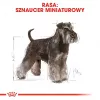 Trockenfutter für Hunde Royal Canin Miniature Schnauzer Adult, Geflügel, 3 kg, für kleine Rassen