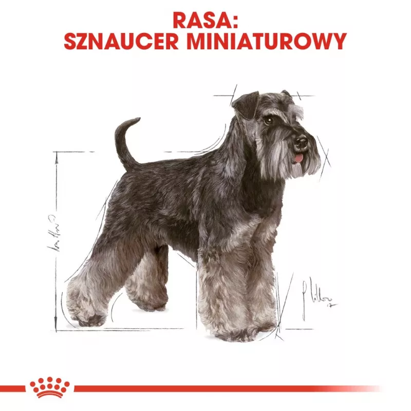 Trockenfutter für Hunde Royal Canin Miniature Schnauzer Adult, Geflügel, 3 kg, für kleine Rassen