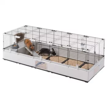 FERPLAST Modular 4 – Käfig für Kaninchen und Hausmeerschweinchen – 179 x 72 x 56 cm