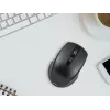 Kabellose optische Maus TRACER TRAMYS46729, RF 10 m, 1600 DPI, 6 Tasten, rechtshändig, Nano-Empfänger, batteriebetrieben