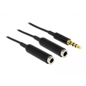 Audiokabel DeLOCK 65575 0,25 m 3,5 mm 2 x 3,5 mm Schwarz