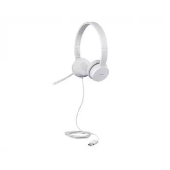 Lenovo GXD1E71385 Kopfhörer/Headset Kabelgebunden Handgelenk Anrufe/Musik USB Typ-A Grau