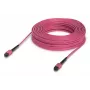 Glasfaserkabel MPO Ubiquiti UACC-OFC-MA-MPMP-30M 30 m OM4