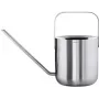 Gießkanne blomus PLANTO 1,0 l silber – Metall-Zimmerpflanzen-/Gartengießer