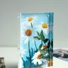 Kodak Ultra Premium Fotopapier 280g Hochglanz 10 x 15 cm 60 Blatt