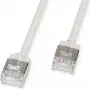 ROLINE U/FTP Patchkabel Cat.6A Ultra-kurzer RJ45 Grau 1m - Netzwerk - FTP (21.15.4501)