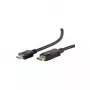 Videokabel-Adapter ShiverPeaks BS77495-2 5 m DisplayPort auf HDMI